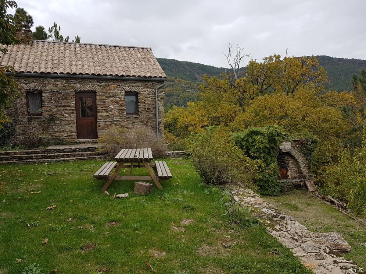 Le Mercou En Cevennes Saint-Martin-de-Boubaux エクステリア 写真