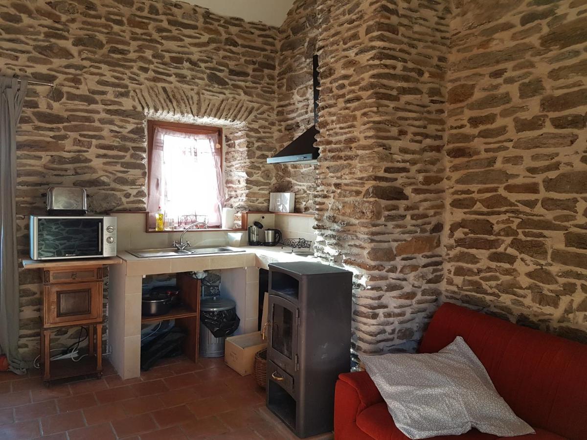 Le Mercou En Cevennes Saint-Martin-de-Boubaux エクステリア 写真