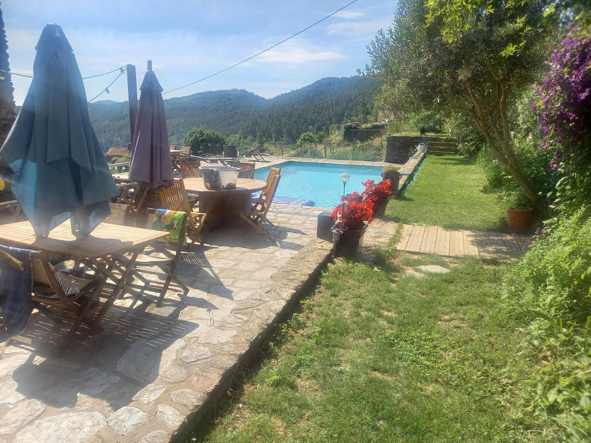 Le Mercou En Cevennes Saint-Martin-de-Boubaux エクステリア 写真